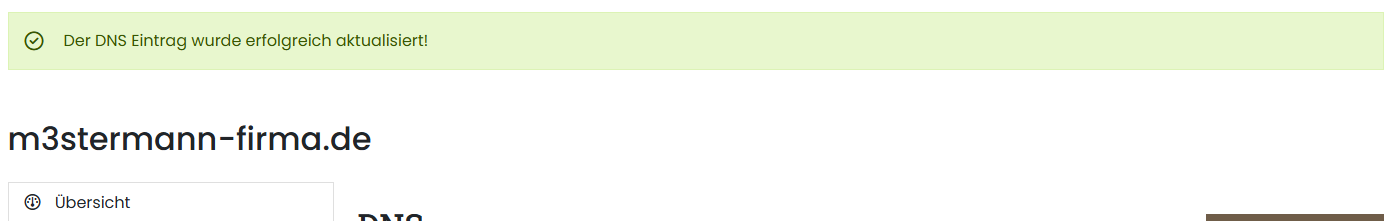 Bestätigung der erfolgreichen DNS Änderung im Kundenportal