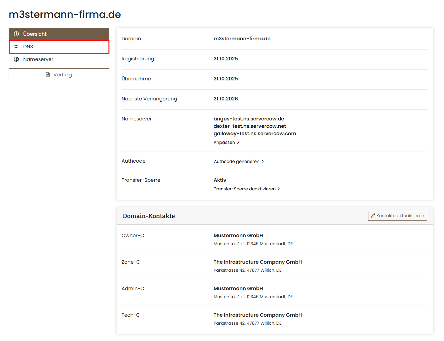 Beispielansicht des Domain Informationen im Kundenportal, beispielhaft mit der Domain m3stermann-firma.de