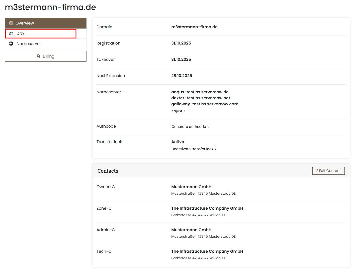 Example view of the domain information in the customer portal, example with the domain m3stermann-firma.de