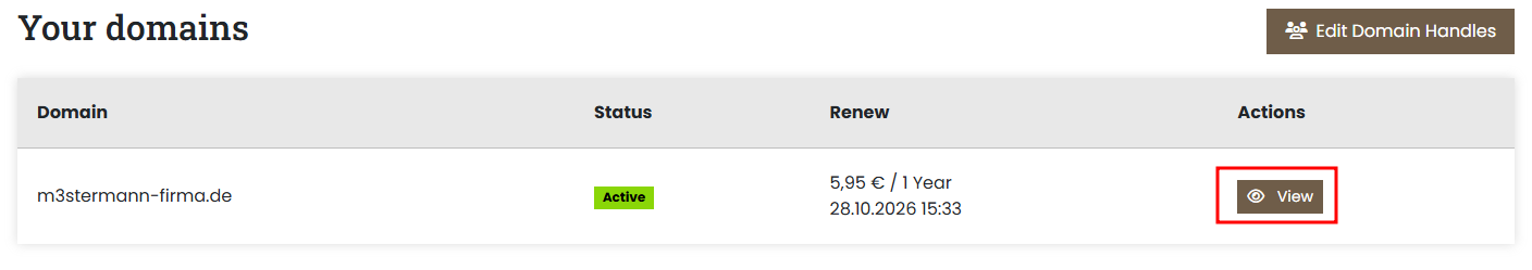 Overview of owned domains, highlighting "View"