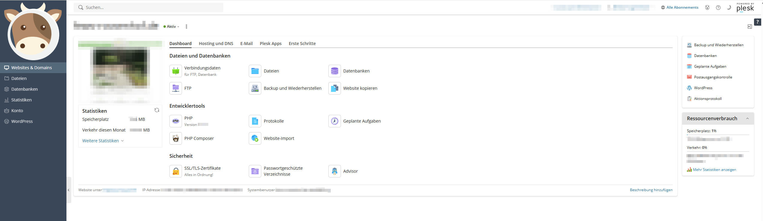 Example domain overview in Plesk at atlas.web.servercow.de